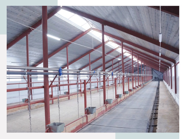 Строительство коровников в Чайковском от 607 руб.