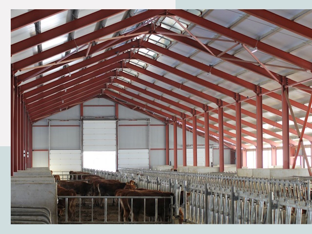 Строительство коровников в Чайковском