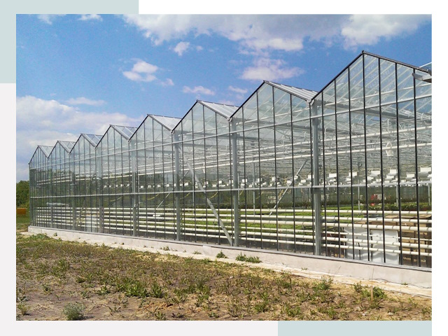 Строительство теплиц в Чайковский от 607 руб. за м²