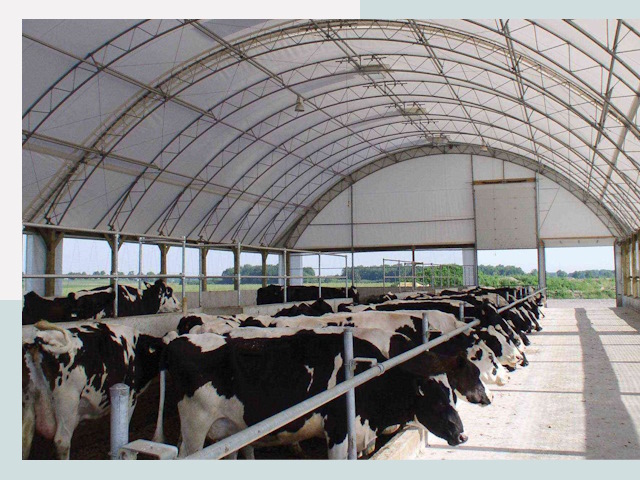 Тентовые коровники в Чайковском